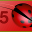 Many ladybugs!