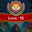Complete level 12