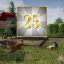 25