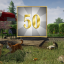 50