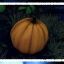 Pumpkin Mayhem
