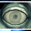 Am I Being Watched?