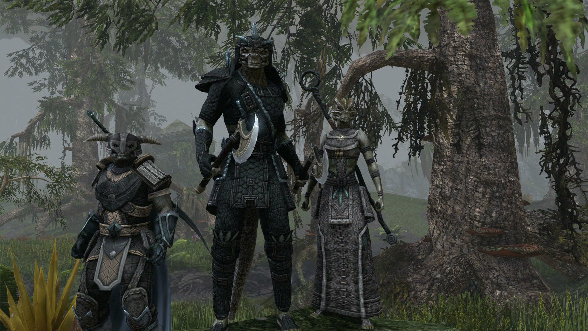 The Elder Scrolls Online screenshot 346