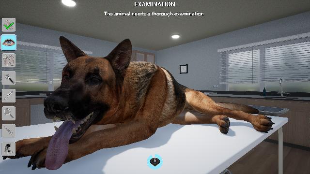 My Life: Pet Vet screenshot 73618