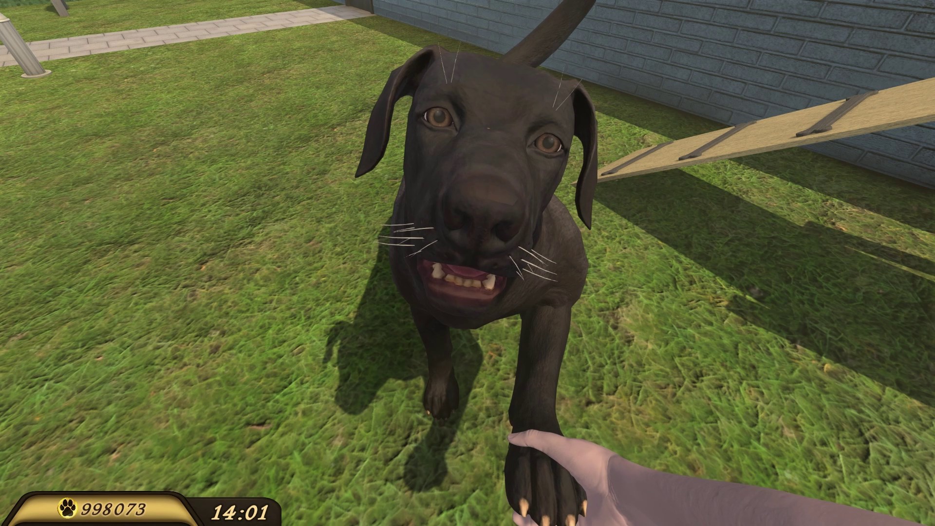 Pets Hotel screenshot 71234
