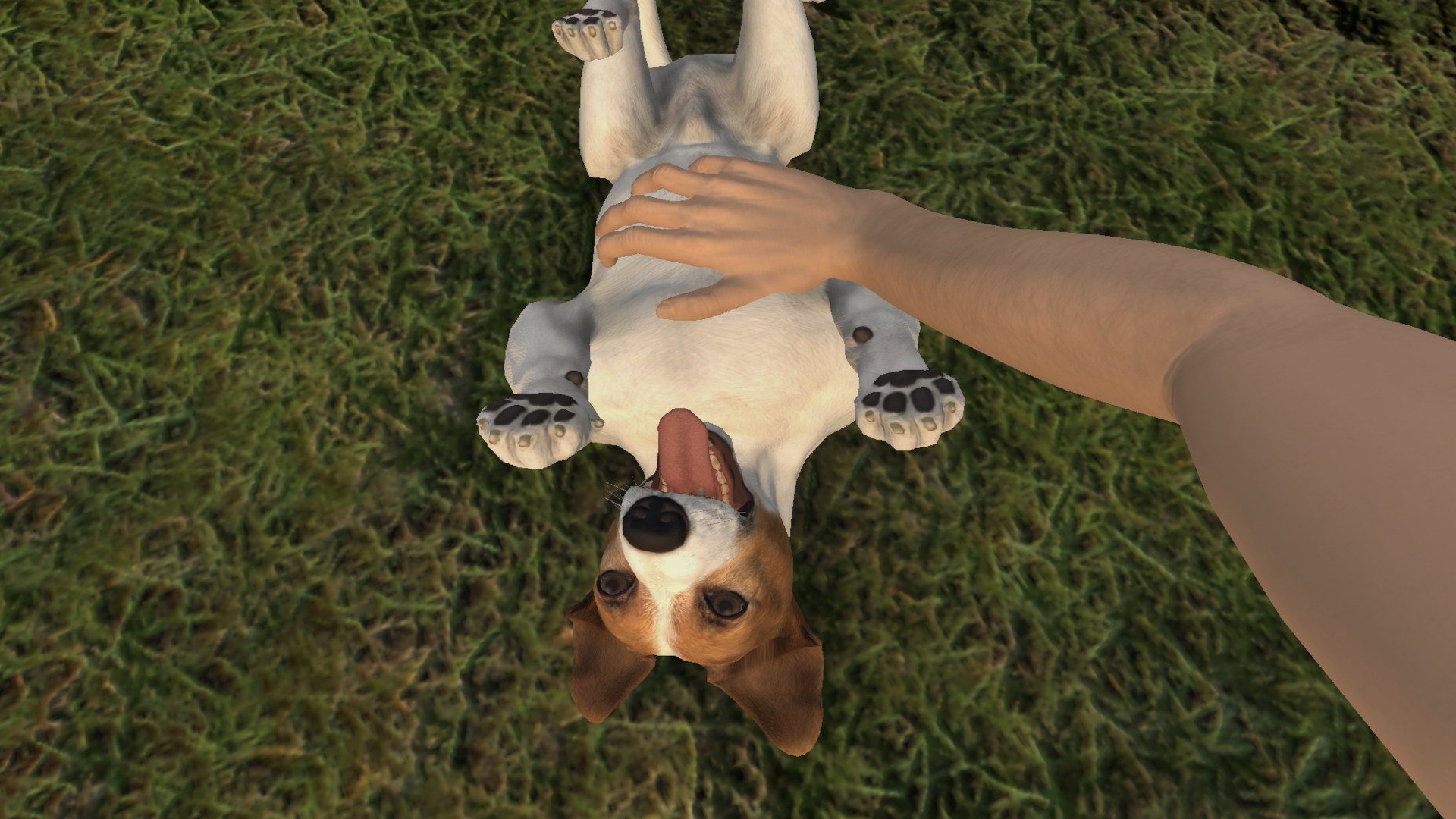 Pets Hotel screenshot 71238