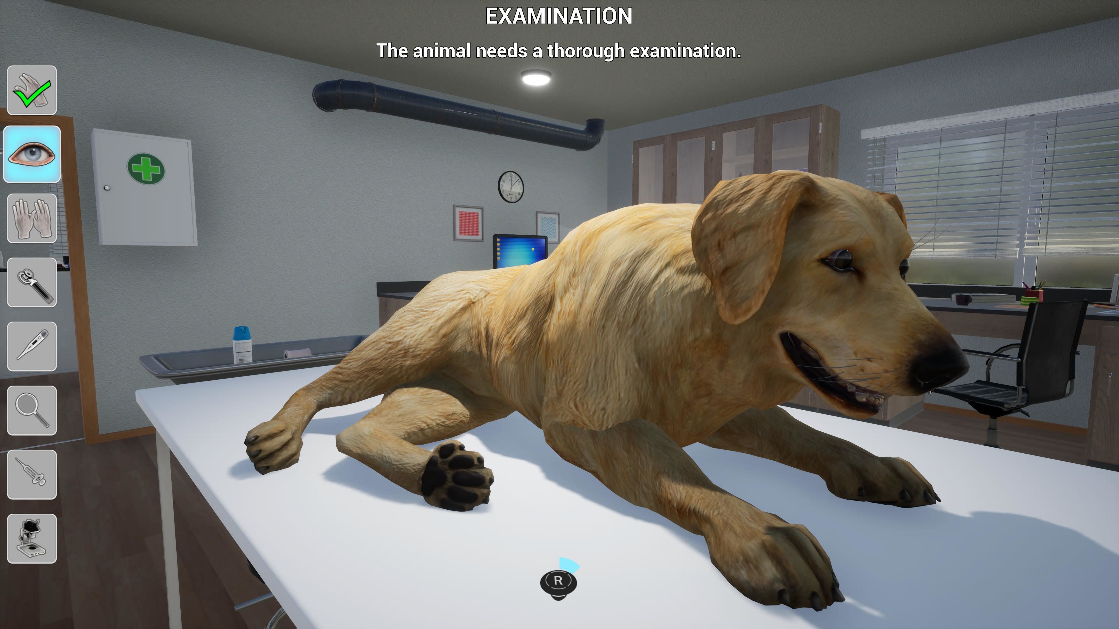 My Life: Pet Vet screenshot 73625