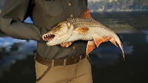 Call of the Wild: The ANGLER - South Africa Reserve screenshot 66670