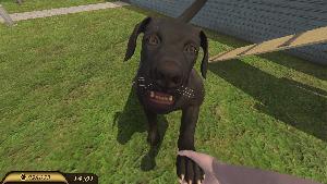 Pets Hotel screenshot 71234