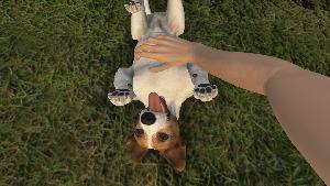 Pets Hotel screenshot 71238