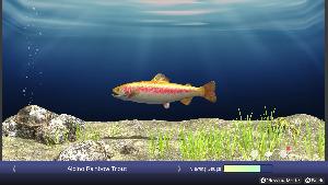 Reel Fishing: Days of Summer Screenshot