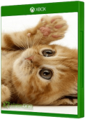 Cat Herder 2 Xbox One Cover Art