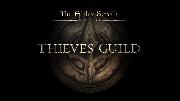 The Elder Scrolls Online: Thieves Guild - First Look