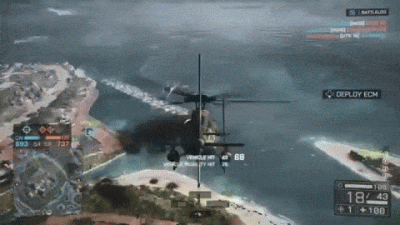 bf4.gif