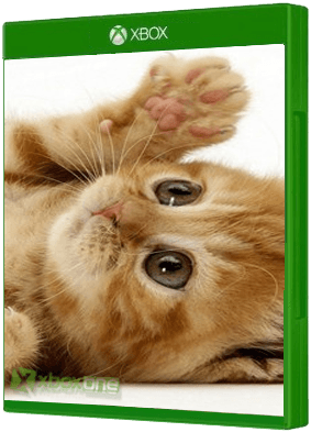 Cat Herder 2 Xbox One boxart