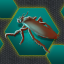 Blattodea