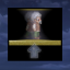 Perfect Mementos [Elderly]