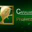 CARAVAN MODE 1,000,000 points achievement