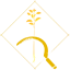 Skull and Jute achievement