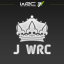 WRC 2 driver