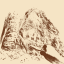 Island Hermit