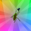 Disco Roach