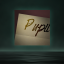 Pupil