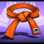 Orange Belt