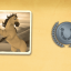 A PLAN ABRIDGED achievement