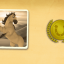REINING IN HENDRICKS achievement