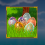 The Egg Came First