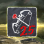 Ranged Plunger achievement