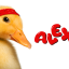 Apex duck