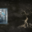 Welcome home achievement