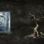 Skeletons of achievement