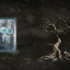 +300 XP achievement