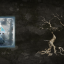 LEVEL UP! achievement