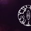 Everything is connected.