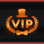 VERY IMPORTANT PERSON