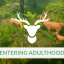 Entering Adulthood