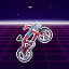 BMX Model 3003