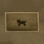Found a toy horse