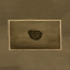 Found a snail