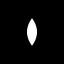 Seed