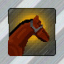 Jockey achievement