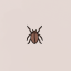 ants