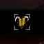 Texas Through and Through