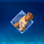 Initiate Achievement Initiate