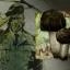 Fungus Among Us