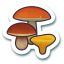 Mushroom master